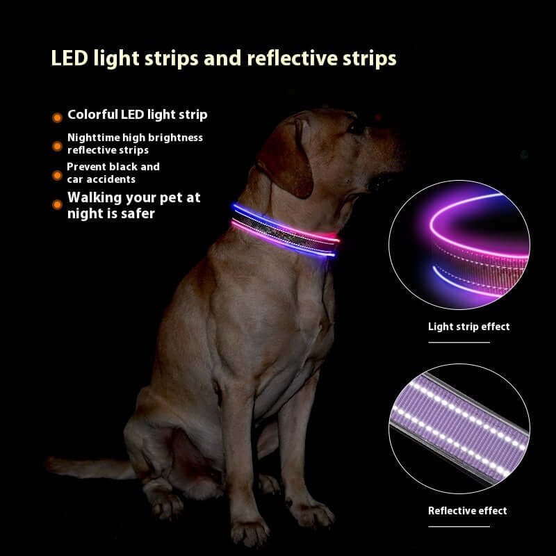 LED Pet Luminous Reflective Stripe USB Charging Shiny Dog Collar