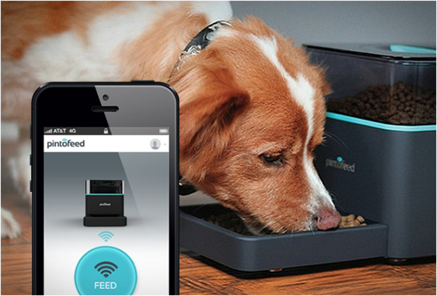 Tech & Safety Accessories