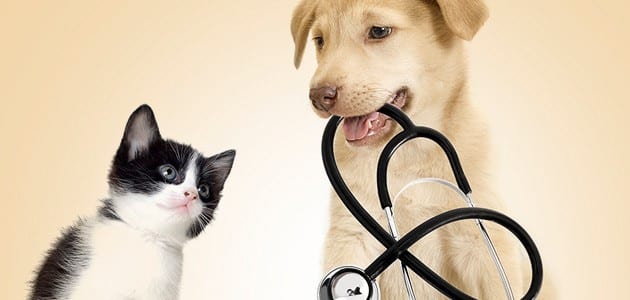 Health & Comfort