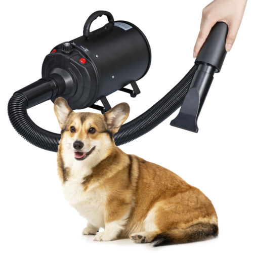 grooming & Hygiene